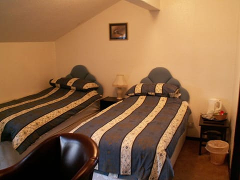 Twin Room, Ensuite | Desk, iron/ironing board, free WiFi