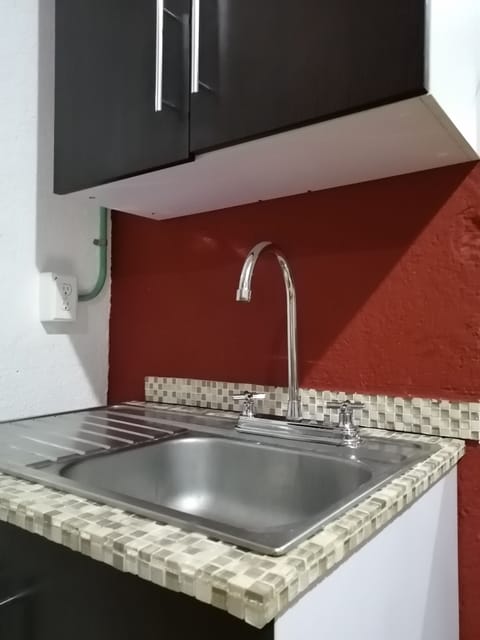 Deluxe Apartment | Private kitchen | Fridge, microwave, freezer