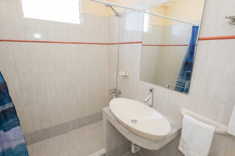 Triple Room | Bathroom | Shower, free toiletries, hair dryer, towels