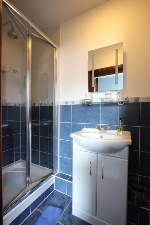 Double Room (Room 2 Pet Friendly) | Bathroom | Shower, rainfall showerhead, free toiletries, hair dryer