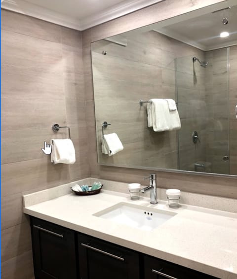 Executive Room | Bathroom | Shower, free toiletries, towels