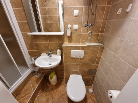 Double Room | Bathroom | Shower, hair dryer, towels