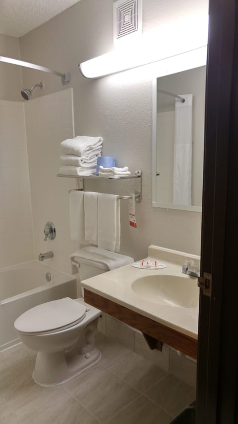 Combined shower/tub, free toiletries, hair dryer, towels