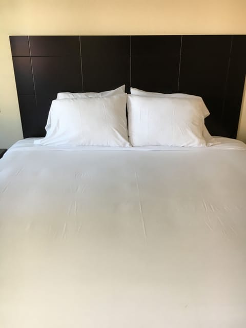 Premium bedding, desk, iron/ironing board, free WiFi