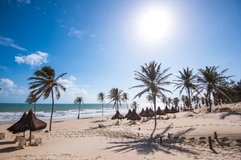 On the beach, sun loungers, beach umbrellas, beach towels