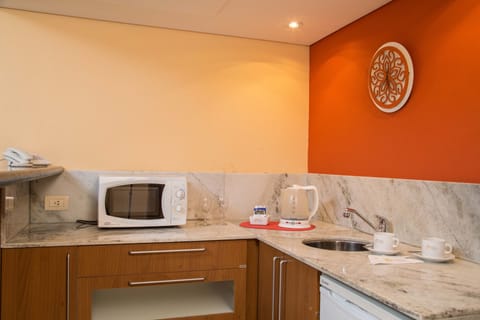 Superior Single Room | Private kitchenette | Fridge, microwave, cookware/dishes/utensils