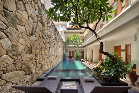 Outdoor pool, sun loungers