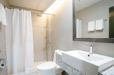 Premium Single Room | Bathroom | Shower, free toiletries, hair dryer, towels