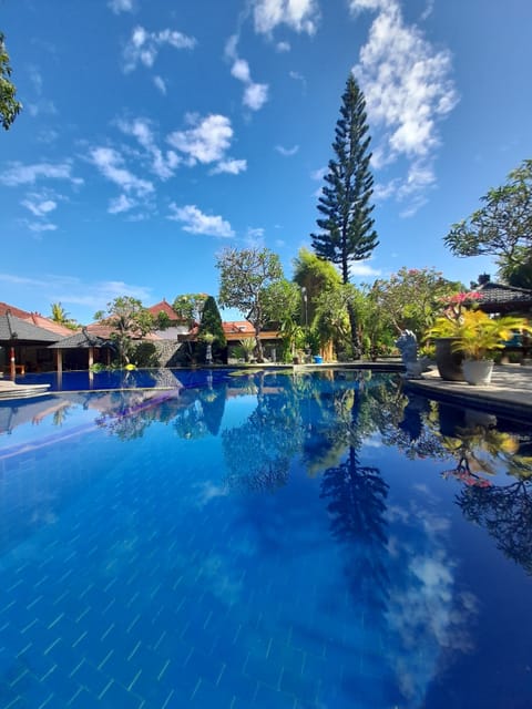 Outdoor pool, open 8:00 AM to 8:00 PM, sun loungers