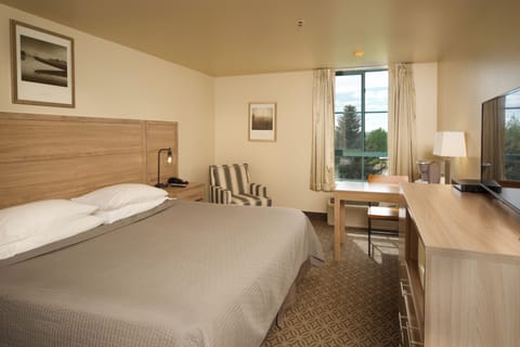 Business Room, 1 King Bed | Soundproofing, iron/ironing board, cribs/infant beds, rollaway beds