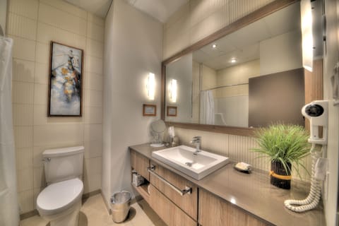 Superior Room | Bathroom | Combined shower/tub, free toiletries, hair dryer, towels