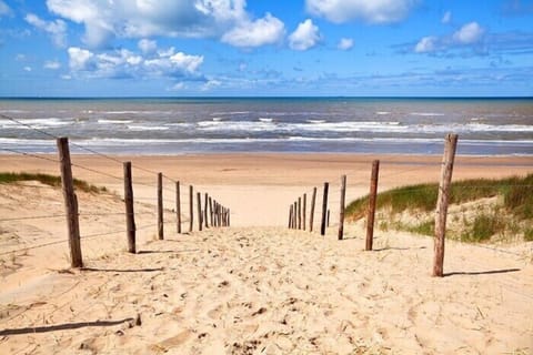 Beach nearby, white sand, windsurfing