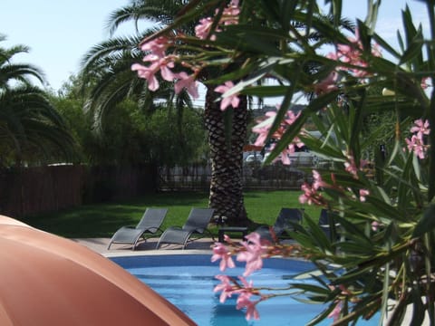 Outdoor pool, sun loungers