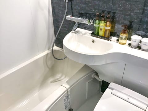 Combined shower/tub, free toiletries, hair dryer, slippers