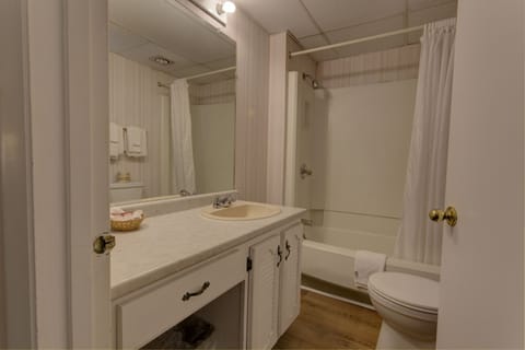 Combined shower/tub, hair dryer, towels