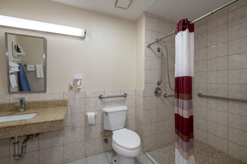 Superior Room, 1 King Bed, Accessible, Smoking (Roll-In Shower) | Bathroom | Hair dryer, towels