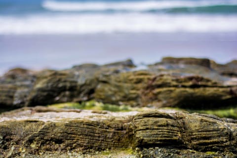 Beach nearby, beach towels