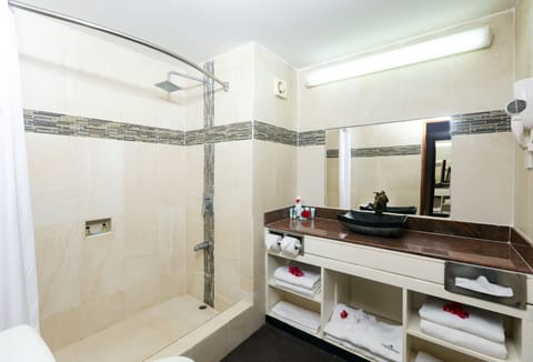 Combined shower/tub, free toiletries, hair dryer, towels