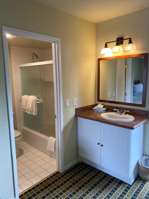 Combined shower/tub, free toiletries, hair dryer, towels