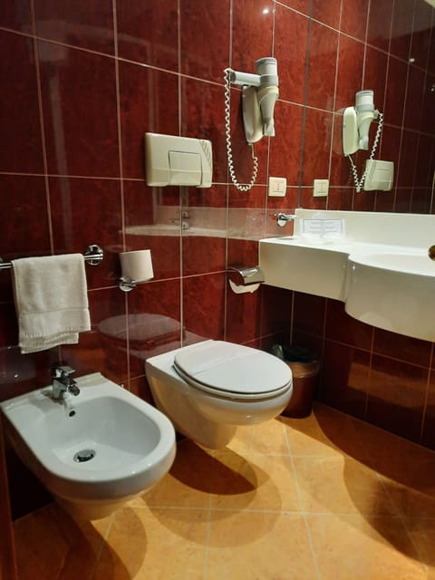 Free toiletries, hair dryer, bidet, towels