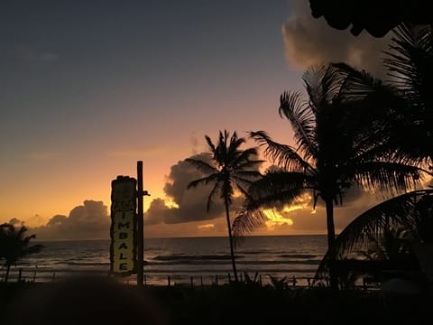 On the beach, 12 beach bars