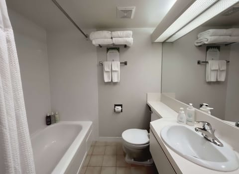 Combined shower/tub, eco-friendly toiletries, hair dryer, towels