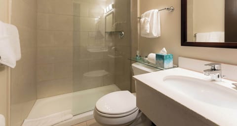 Combined shower/tub, free toiletries, hair dryer, towels