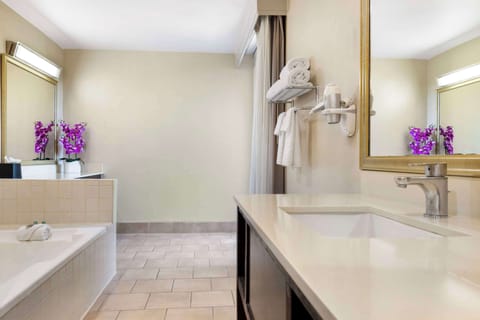 Suite, 1 Queen Bed, Non Smoking, Jetted Tub (with Sofabed) | Bathroom | Eco-friendly toiletries, hair dryer, towels