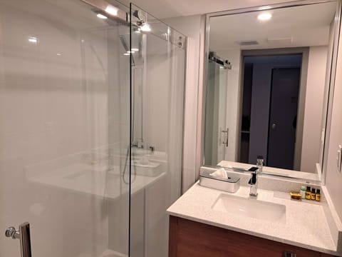 Executive Room, 1 King Bed, Non Smoking (Shower Only) | Bathroom | Eco-friendly toiletries, hair dryer, towels, soap