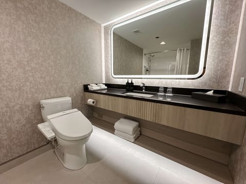 Combined shower/tub, eco-friendly toiletries, hair dryer, slippers
