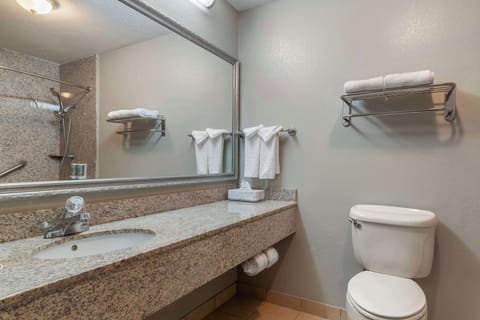 Standard Room, 1 King Bed, Accessible, Bathtub | Bathroom | Combined shower/tub, free toiletries, hair dryer, towels