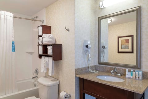 Suite, One King Bed, Non-Smoking | Bathroom shower