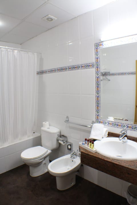 Double Room | Bathroom | Separate tub and shower, free toiletries, hair dryer, bidet