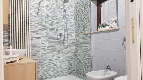 Deluxe Room | Bathroom | Shower, free toiletries, hair dryer, bidet