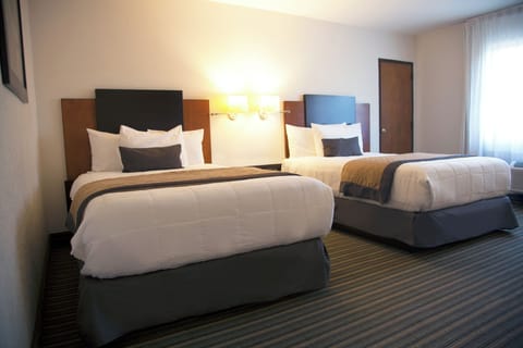 Standard Double Room | Premium bedding, down comforters, Tempur-Pedic beds, in-room safe