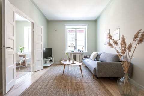 Studio | Living area | Flat-screen TV