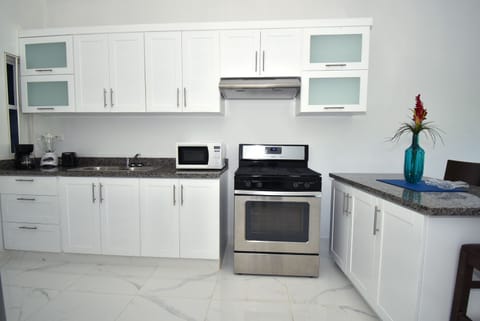 Presidential Apartment, 2 Bedrooms, Kitchen | Private kitchen | Fridge, microwave, oven, stovetop