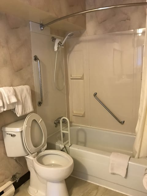 Room, 1 Queen Bed, Accessible, Non Smoking | Bathroom | Free toiletries, hair dryer, towels