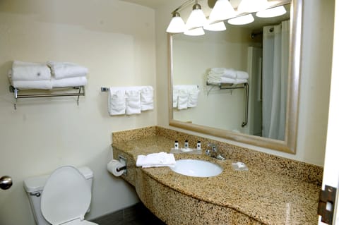 Combined shower/tub, free toiletries, hair dryer, towels