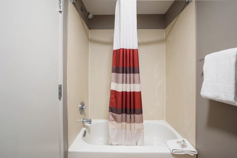 Combined shower/tub, free toiletries, hair dryer, towels