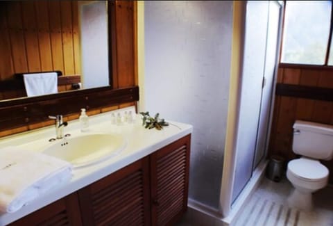 Standard Double or Twin Room | Bathroom | Combined shower/tub, towels