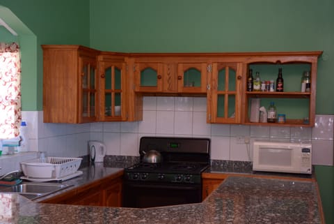 Family Apartment, 3 Bedrooms | Private kitchen | Microwave