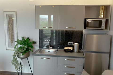 Deluxe Apartment (Gold) | Private kitchenette | Fridge, microwave, coffee/tea maker, electric kettle