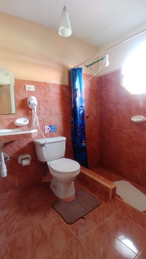 Classic Triple Room | Bathroom | Shower, free toiletries, hair dryer, bidet