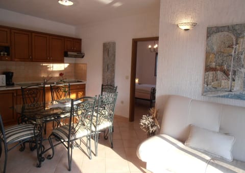 Luxury Apartment (4) | Living area | 35-inch flat-screen TV with satellite channels, LCD TV