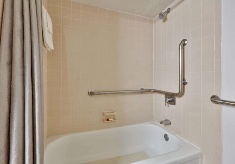 Room, 1 King Bed, Accessible, Non Smoking | Bathroom | Free toiletries, hair dryer, towels, soap