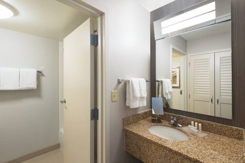 Combined shower/tub, hair dryer, towels