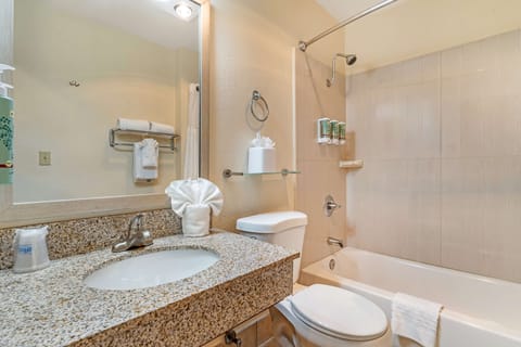 Combined shower/tub, free toiletries, hair dryer, towels