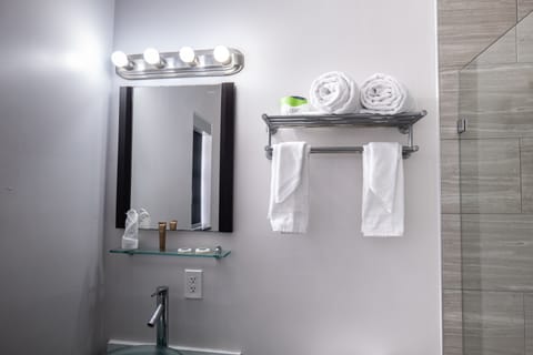 Habitacion Standard | Bathroom | Free toiletries, hair dryer, towels, soap