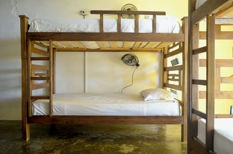 Standard Shared Dormitory, Mixed Dorm, Non Smoking, Beach View | Premium bedding, desk, laptop workspace, blackout drapes